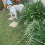 WhatsApp Image 2025-12-20 at 12.48.04 PM (2)