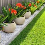 WhatsApp Image 2025-12-20 at 12.48.11 PM