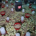 WhatsApp Image 2025-12-20 at 12.48.12 PM (1)