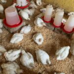 WhatsApp Image 2025-12-20 at 12.48.13 PM (1)